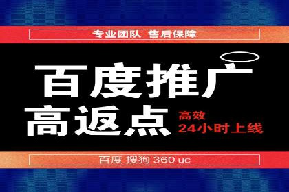 百度广告推广实战案例解析